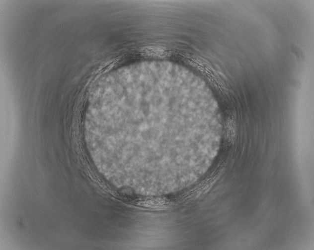 X0000115321201200912141151