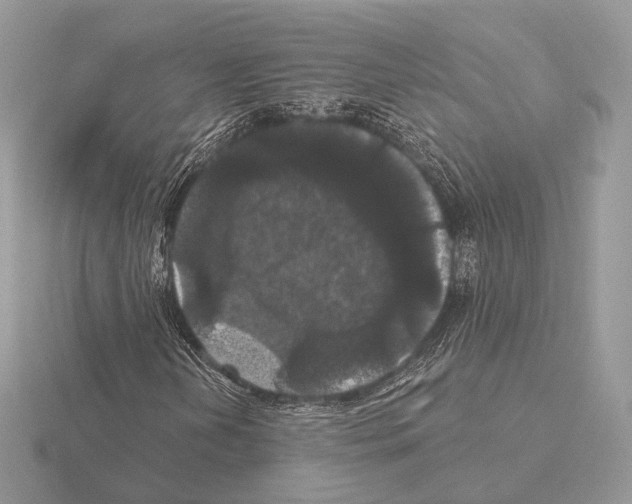 X0000115321202200912141151