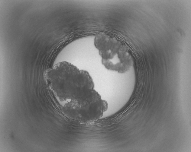 X0000115321204200912141151