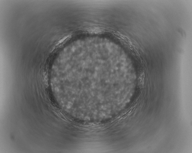 X0000115321205200912141151