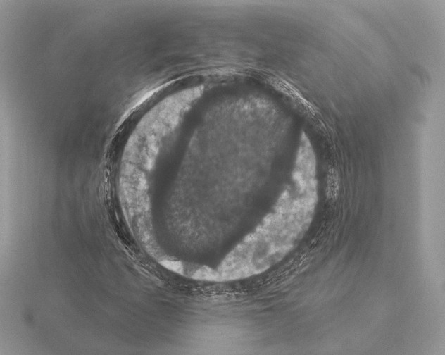 X0000115321208200912141151