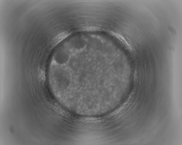 X0000115321209200912141151