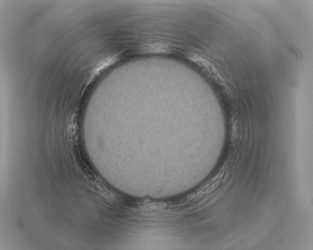 X0000115321210200912141151