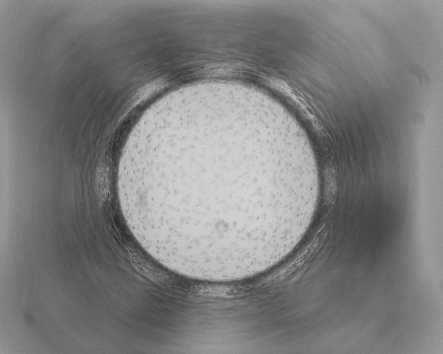 X0000115321211200912141151