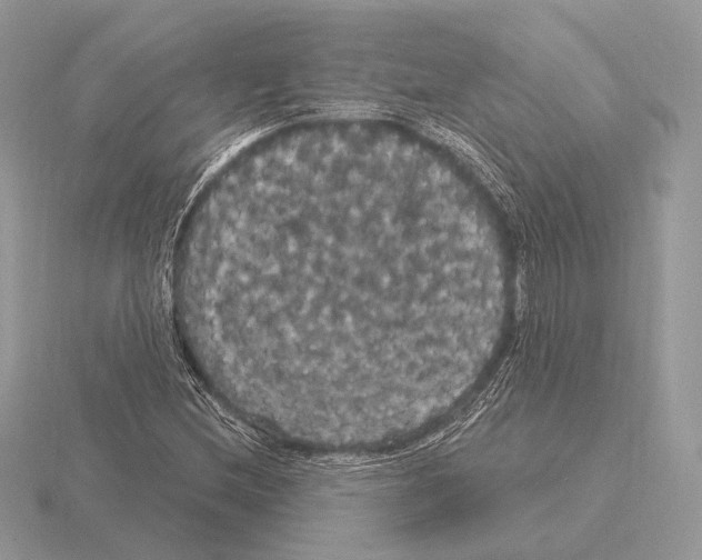 X0000115321212200912141151