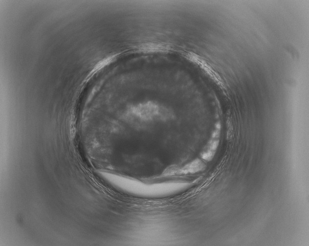 X0000115321213200912141151