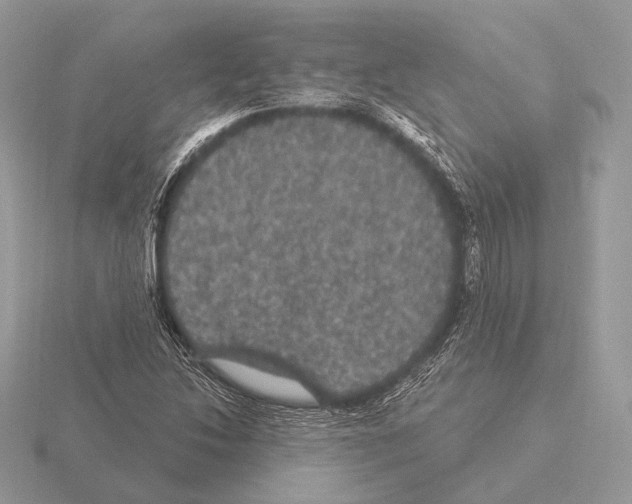 X0000115321214200912141151