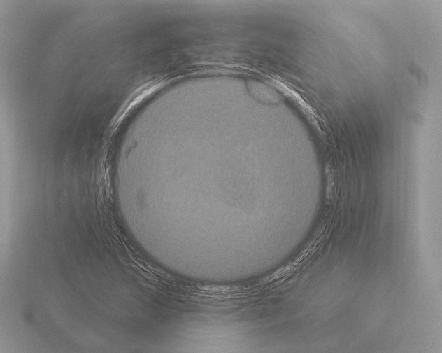 X0000115321215200912141151