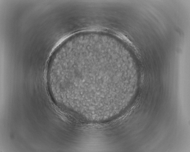 X0000115321216200912141151