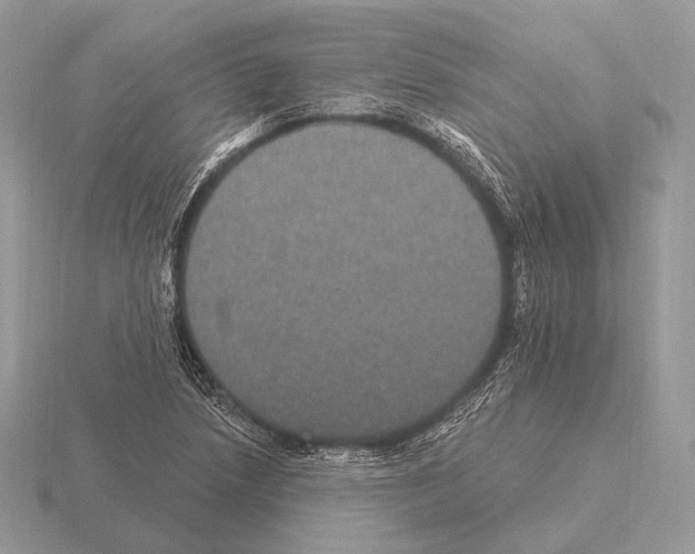 X0000115321218200912141151