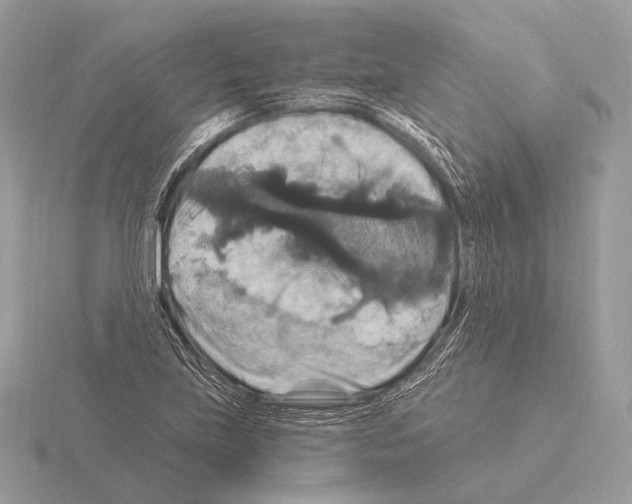 X0000115321219200912141151