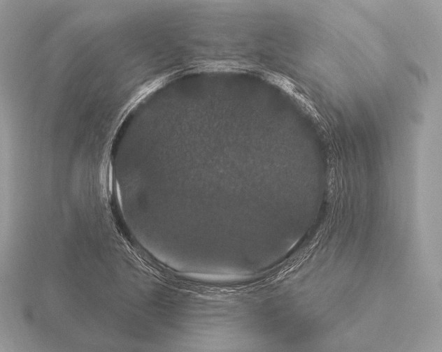 X0000115321221200912141151