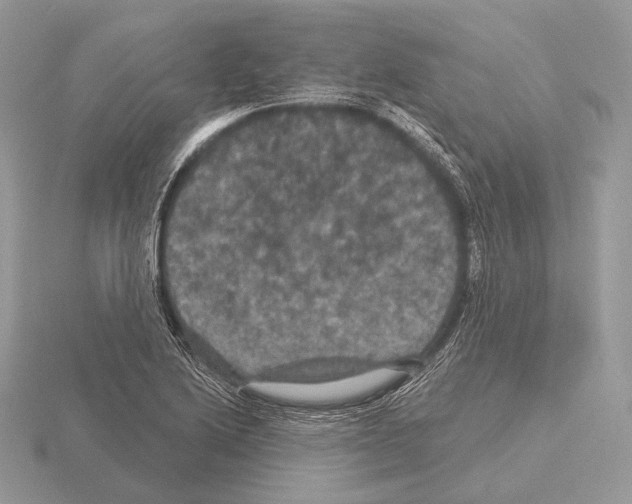 X0000115321222200912141151