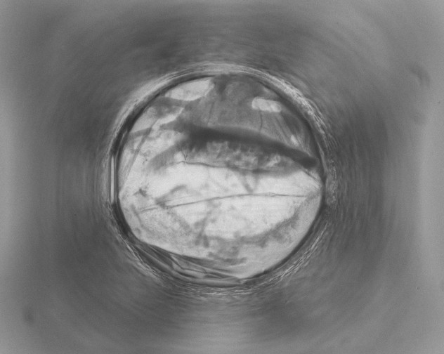 X0000115321223200912141151