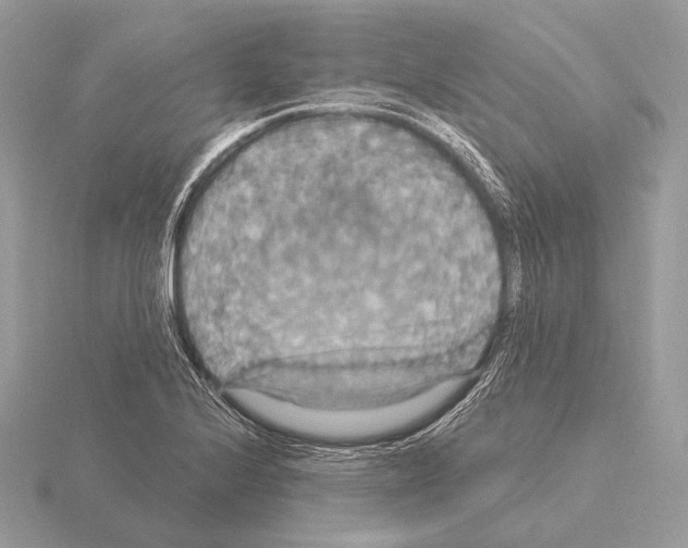 X0000115321224200912141151