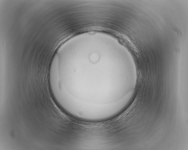 X0000115321225200912141151