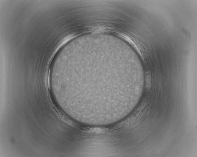 X0000115321227200912141151