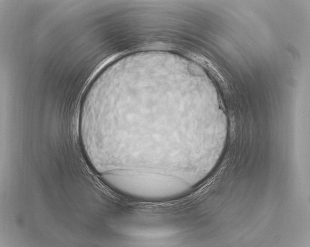 X0000115321228200912141151