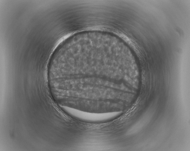 X0000115321230200912141151