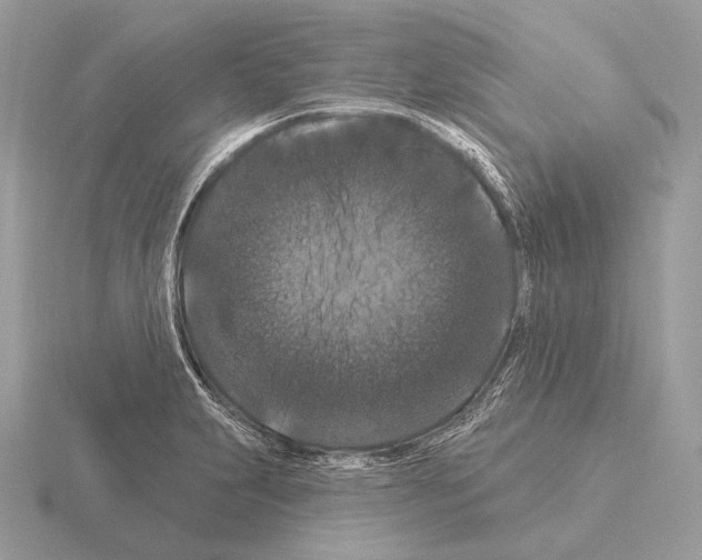 X0000115321231200912141151