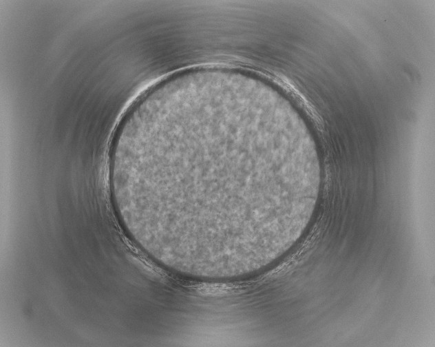 X0000115321232200912141151