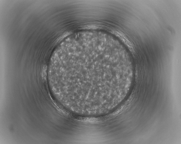 X0000115321233200912141151