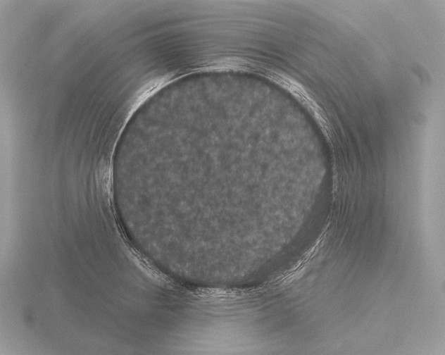 X0000115321234200912141151