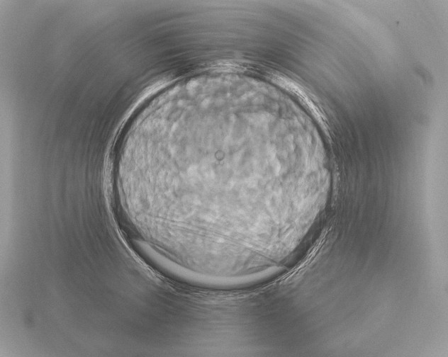 X0000115321235200912141151