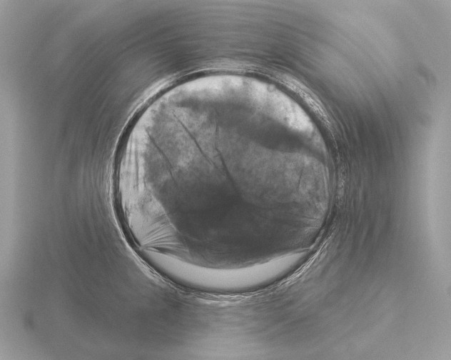 X0000115321237200912141151