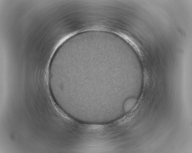 X0000115321238200912141151