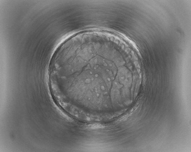 X0000115321239200912141151