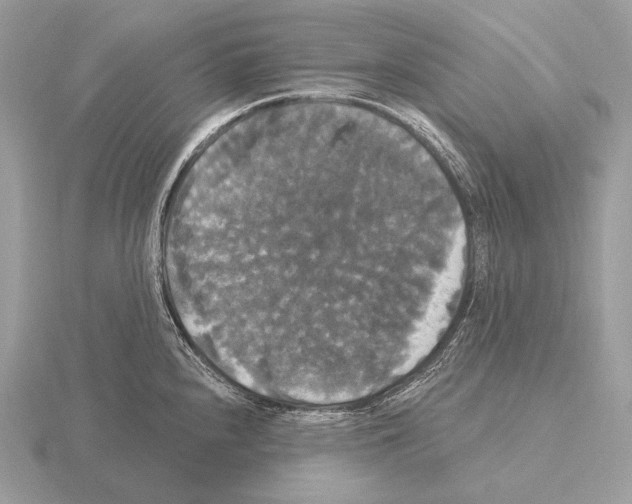 X0000115321240200912141151