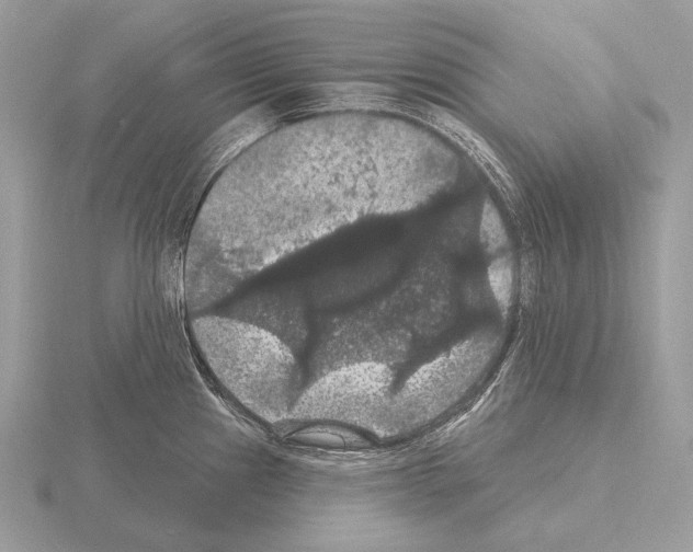 X0000115321241200912141151