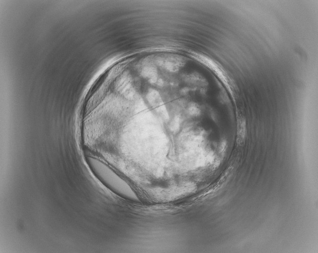 X0000115321243200912141151