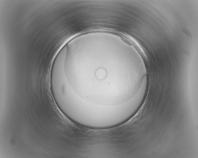 X0000115321244200912141151