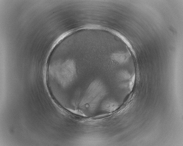 X0000115321245200912141151