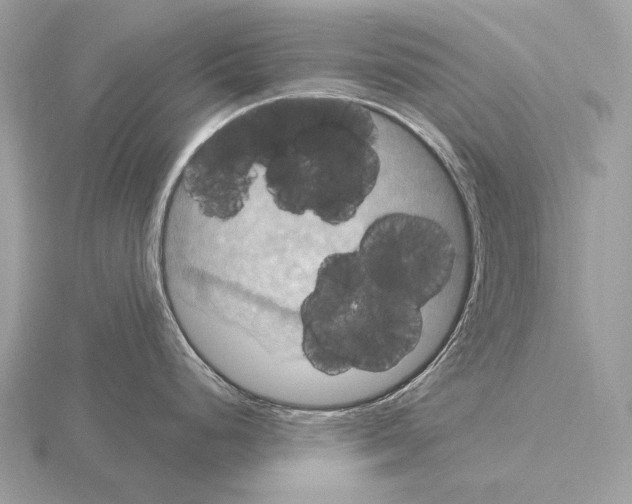 X0000115321248200912141151