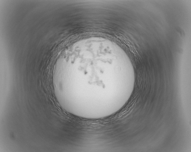 X0000115321249200912141151