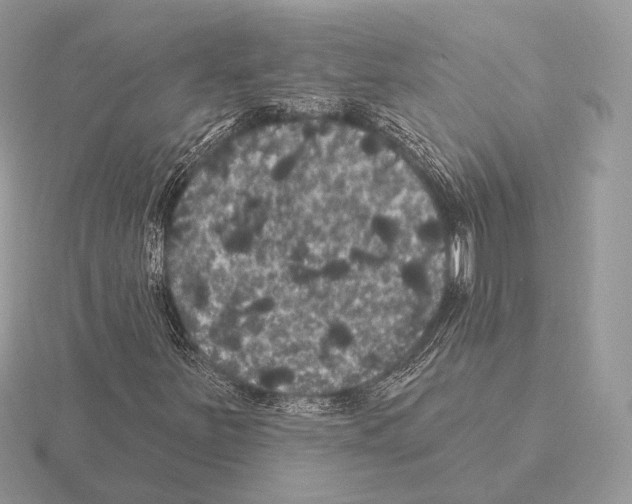 X0000115321251200912141151