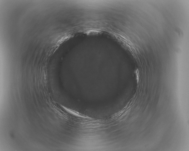 X0000115321252200912141151