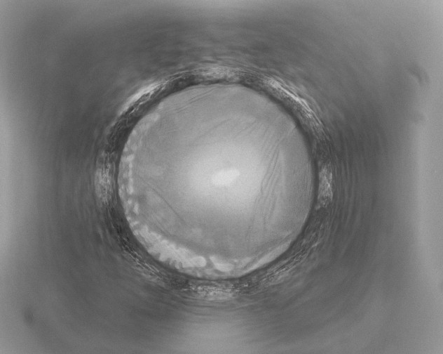 X0000115321254200912141151