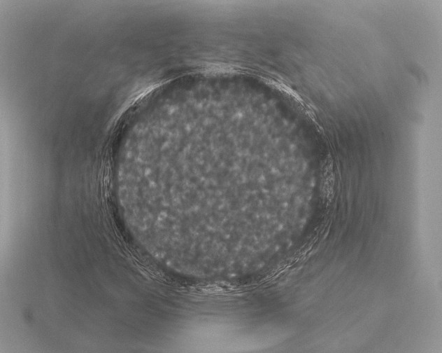 X0000115321255200912141151