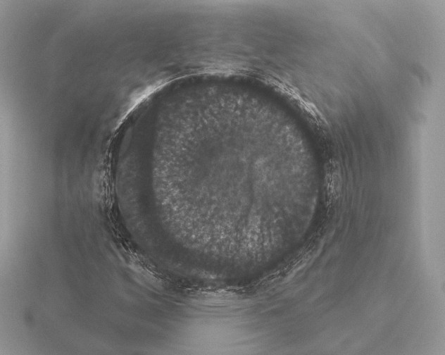 X0000115321256200912141151