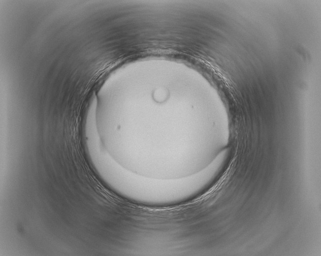 X0000115321257200912141151