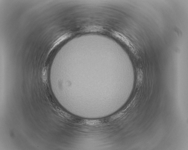 X0000115321258200912141151