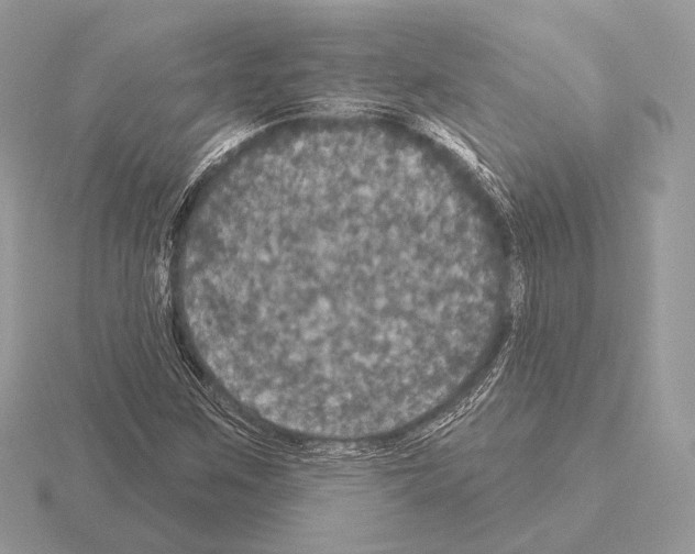 X0000115321259200912141151