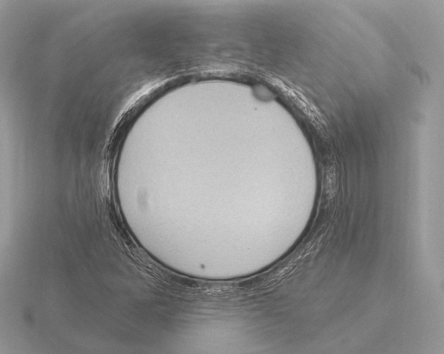 X0000115321262200912141150