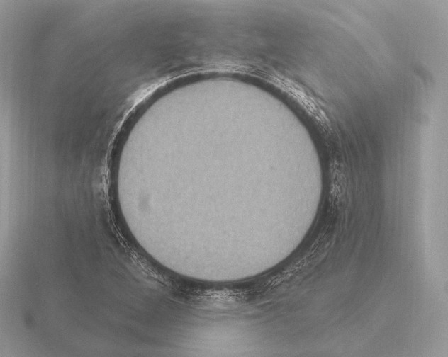 X0000115321264200912141150