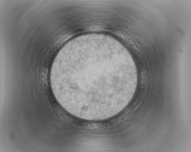 X0000115321265200912141150