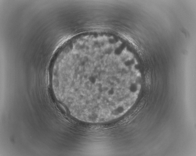 X0000115321267200912141150